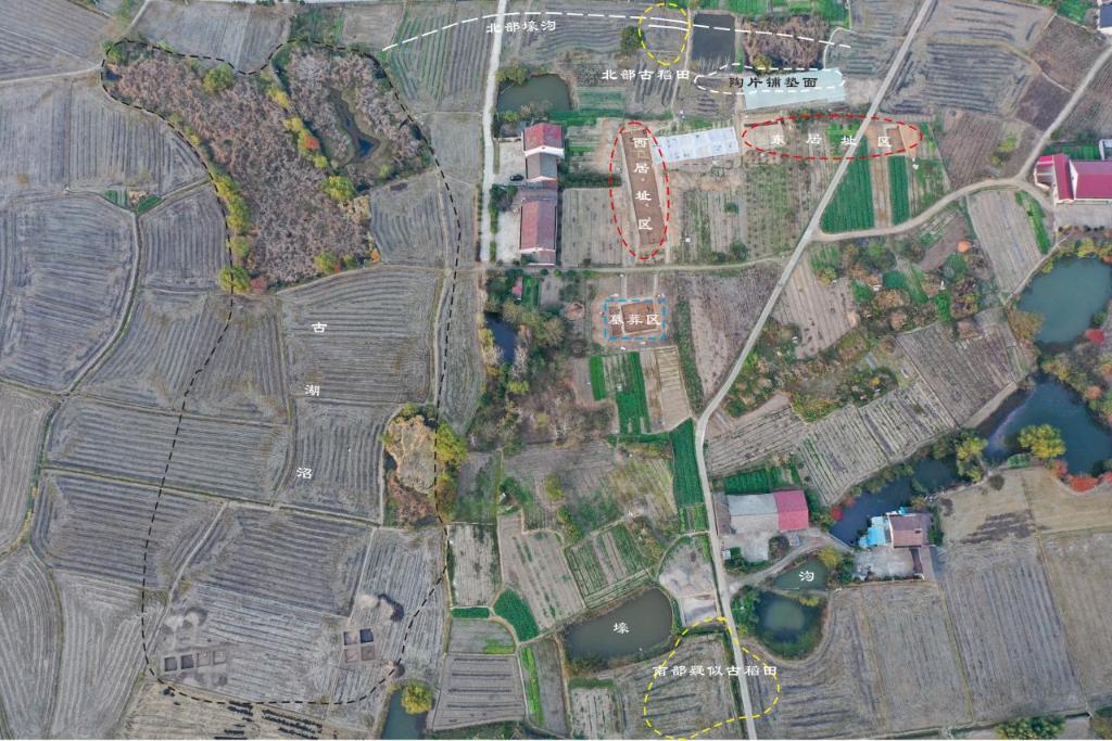 的先民8000多年前就在种水稻mg不朽情缘游戏平台实锤！这里(图3)