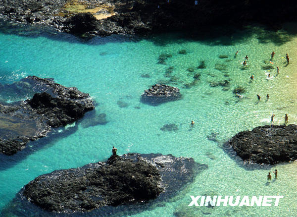 费尔南多—迪诺罗尼亚岛不朽情缘模拟器美丽